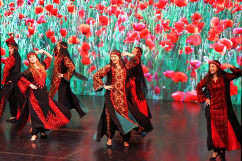 约旦艺术家精彩表演,纳达尔·达乌德摄