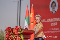 2026迪拜“温暖迎春·欢乐春节”大巡游举行