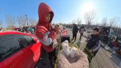 新春走基层｜“毛孩子”带火小镇经济