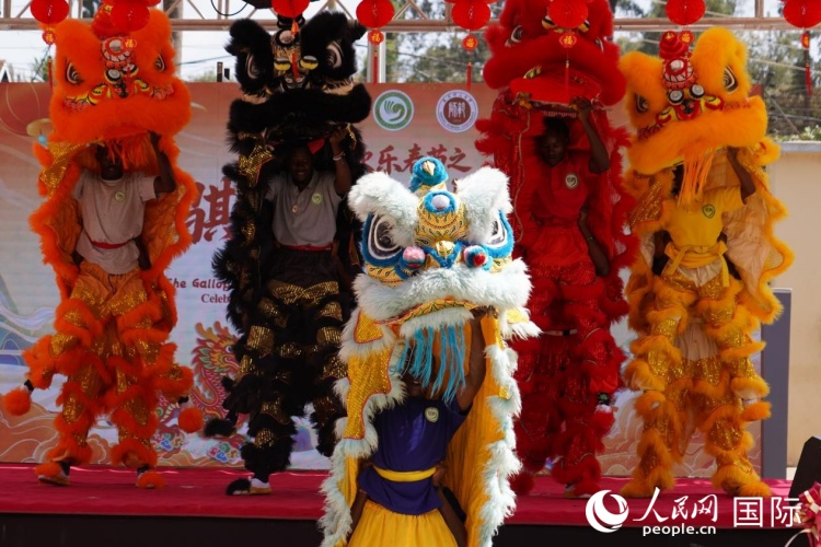 活动现场。人民网记者 黄炜鑫摄