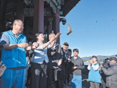89只北京雨燕戴上新“身份证”