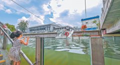 北京环二环8处滨水步道焕新升级